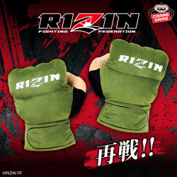 RIZIN ワールドコレクタブルフィギュア vol.1｜商品情報｜バンプレスト